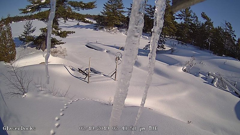 A shot of the docks area showing the snow and tracks of an unknown animal