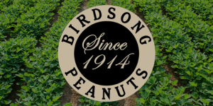 Birdsong Peanuts Project Marathon Consulting Featured 300X150